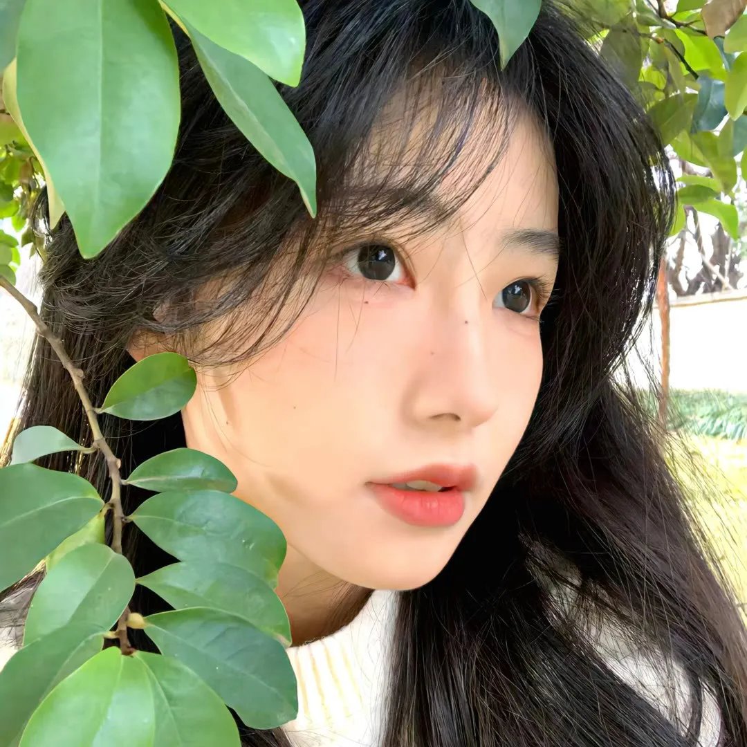 等风也等你
